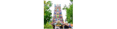 விசவத்தனை முருகன் கோயில் - பண்ணாகம் 